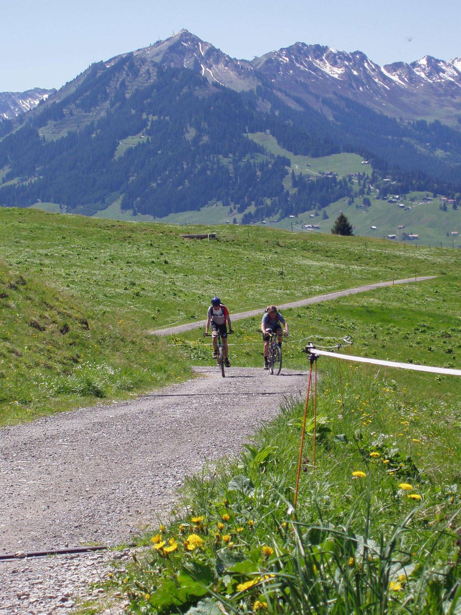 Gaestehaus Zur Faerbe Apartments Oberstdorf Dış mekan fotoğraf